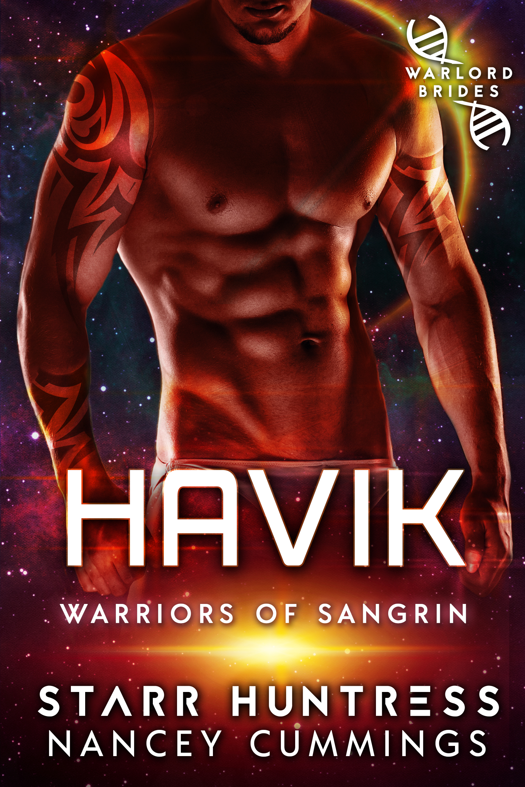 Havik book cover