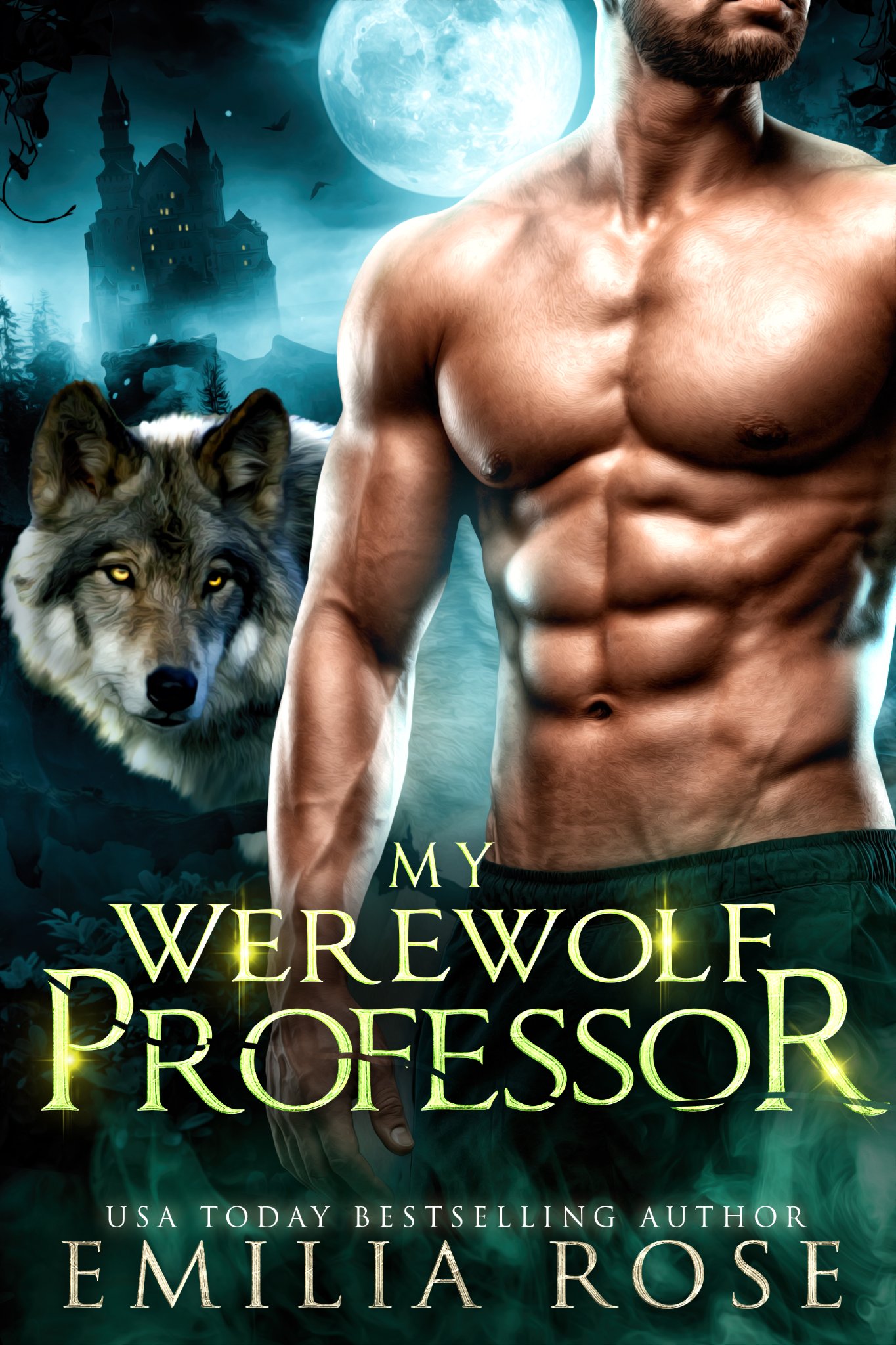 My Werewolf Professor book cover
