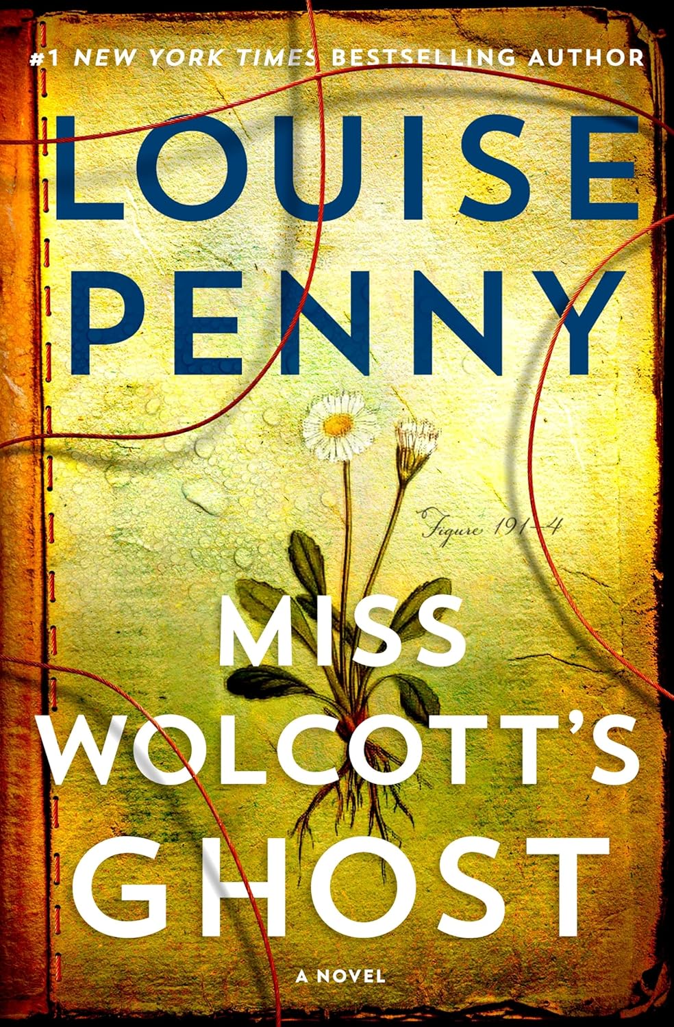 Miss Wolcott's Ghost book cover