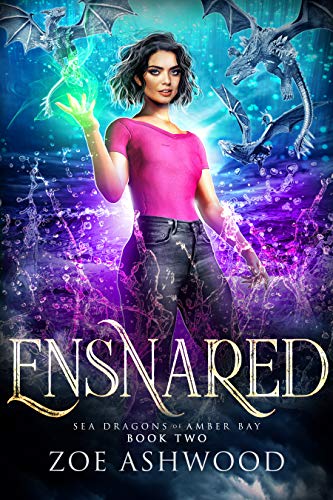 Sea Dragons of Amber Bay book cover 2