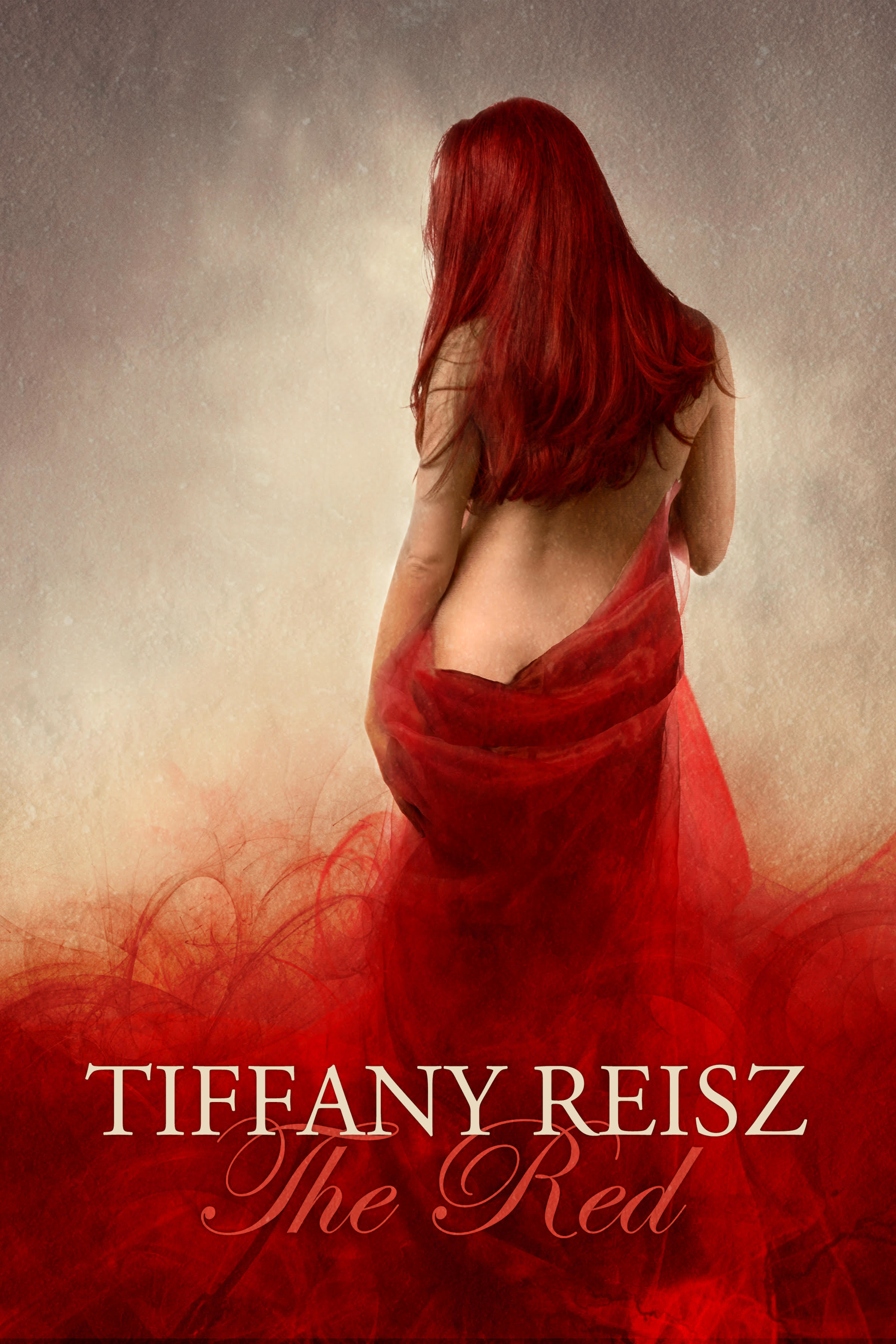 The Godwicks book cover 1
