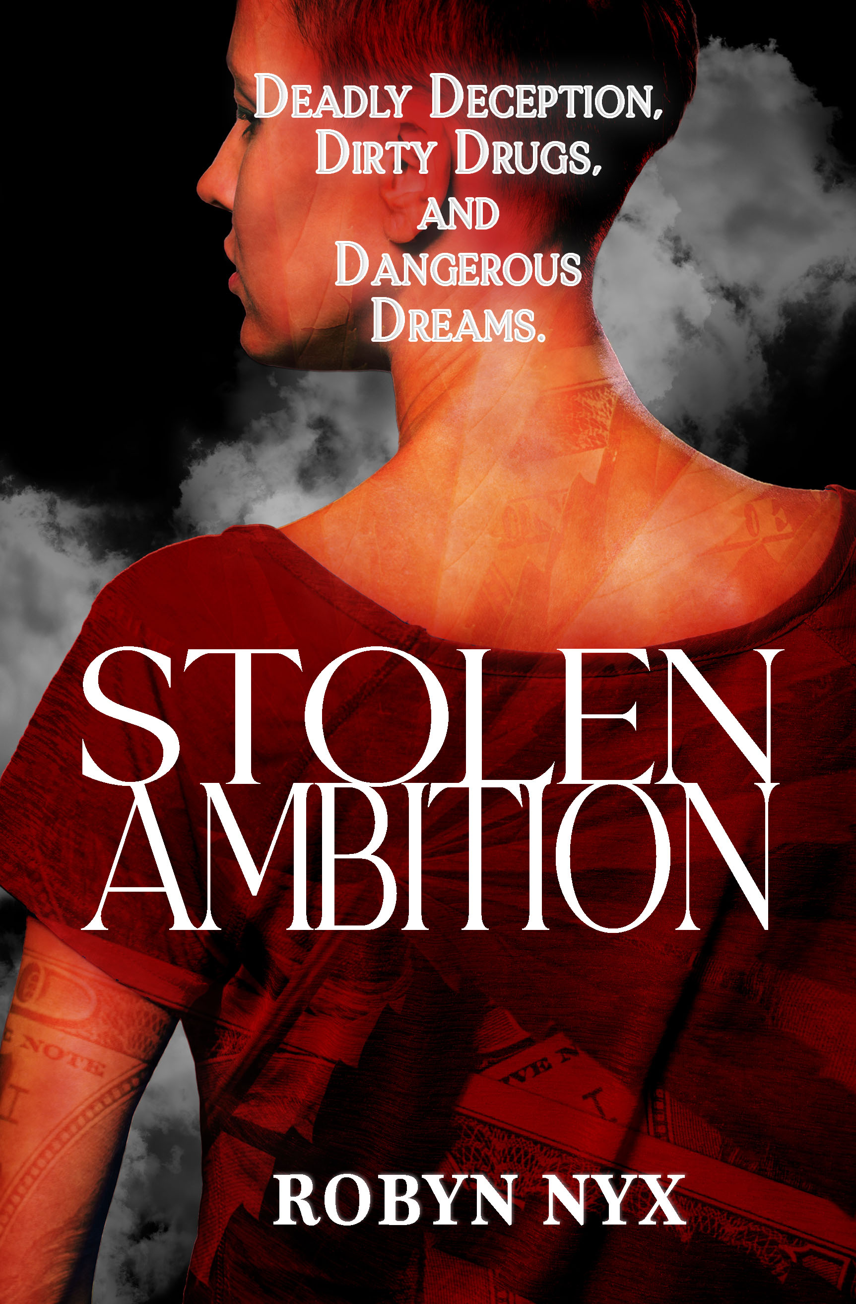 Stolen Ambition book cover