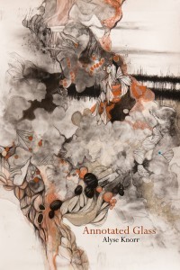 Annotated Glass book cover