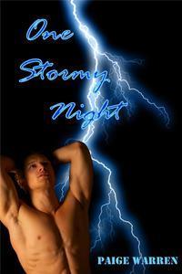 One Stormy Night book cover
