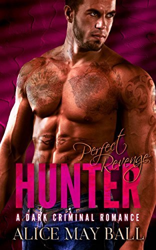 Perfect book cover 3