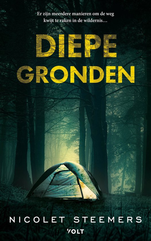 Diepe gronden book cover