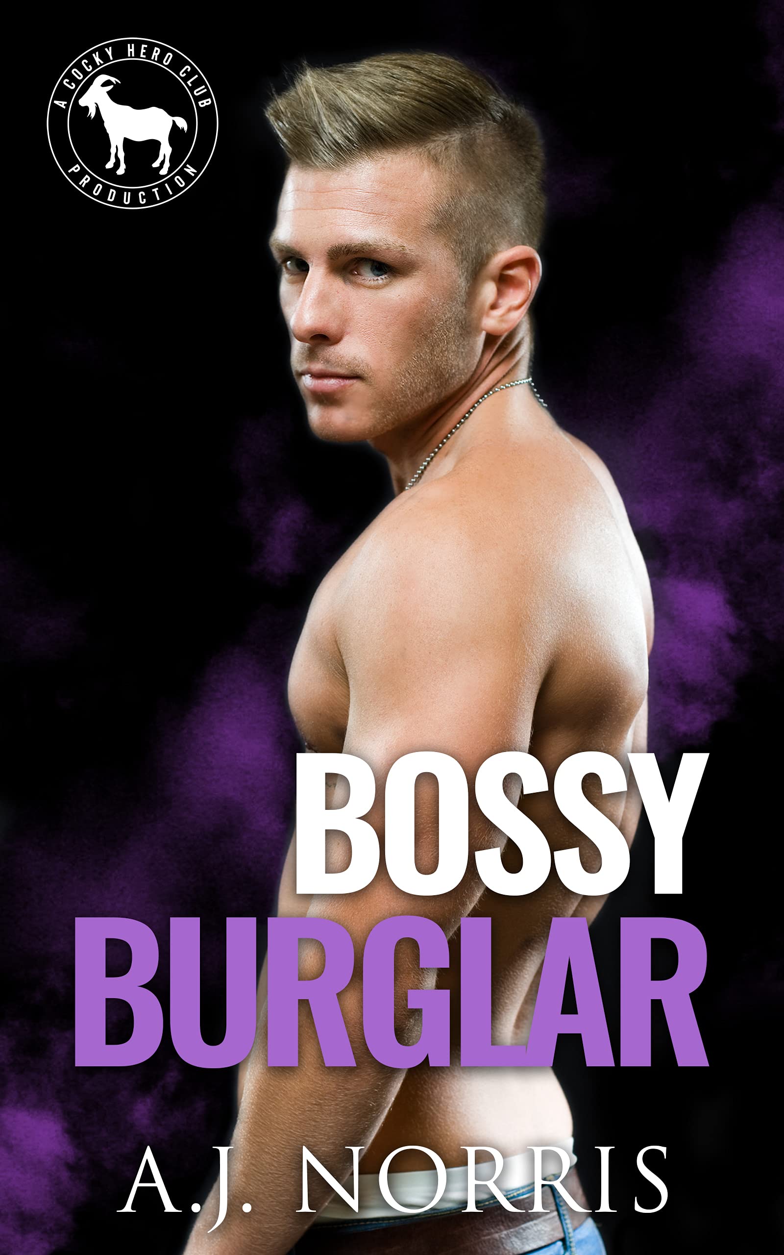 Bossy Burglar book cover