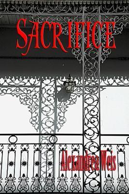 Nicci Beauvoir book cover 3