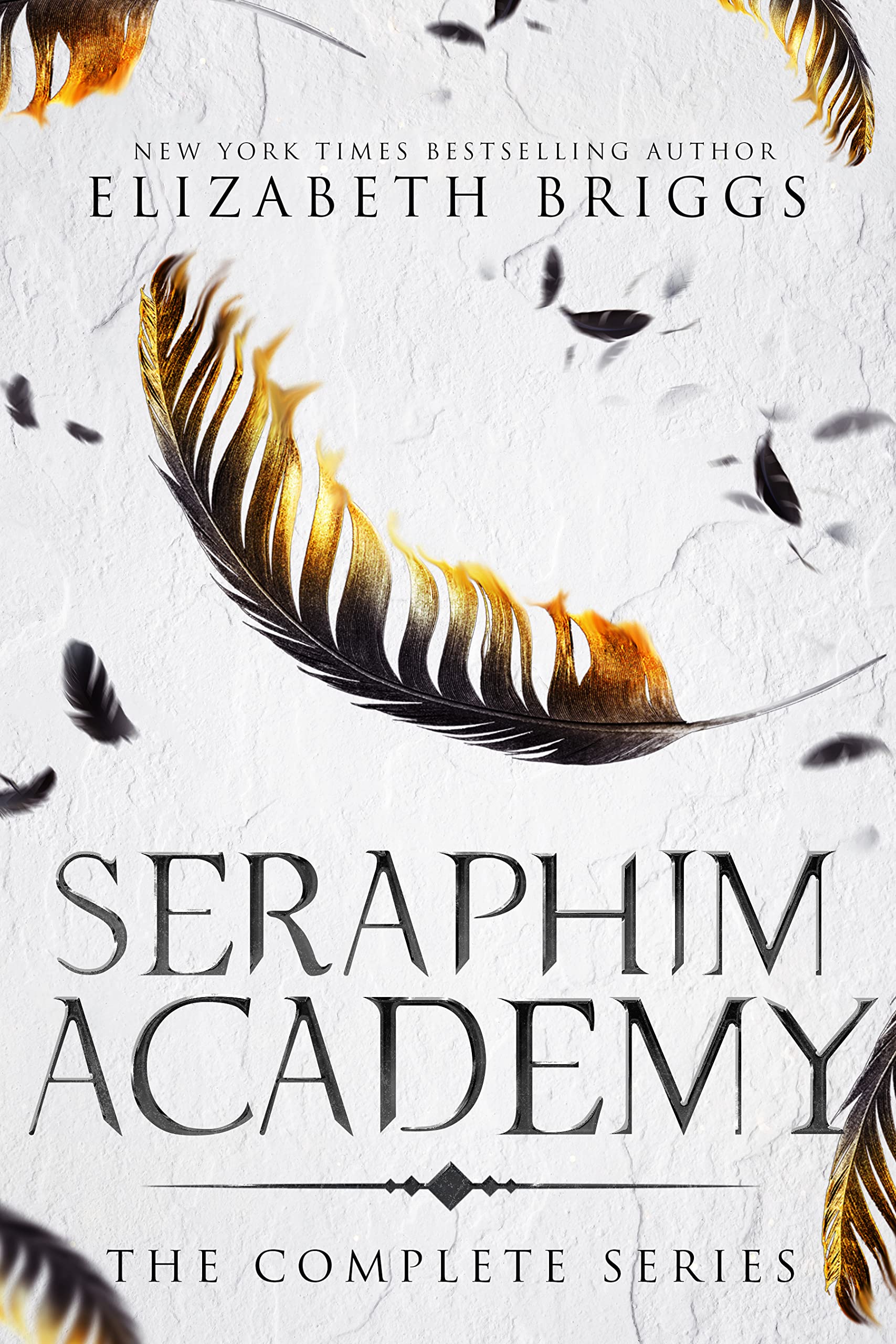 Seraphim Academy book cover