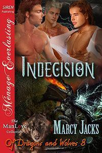 Indecision book cover