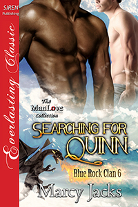 Searching for Quinn book cover