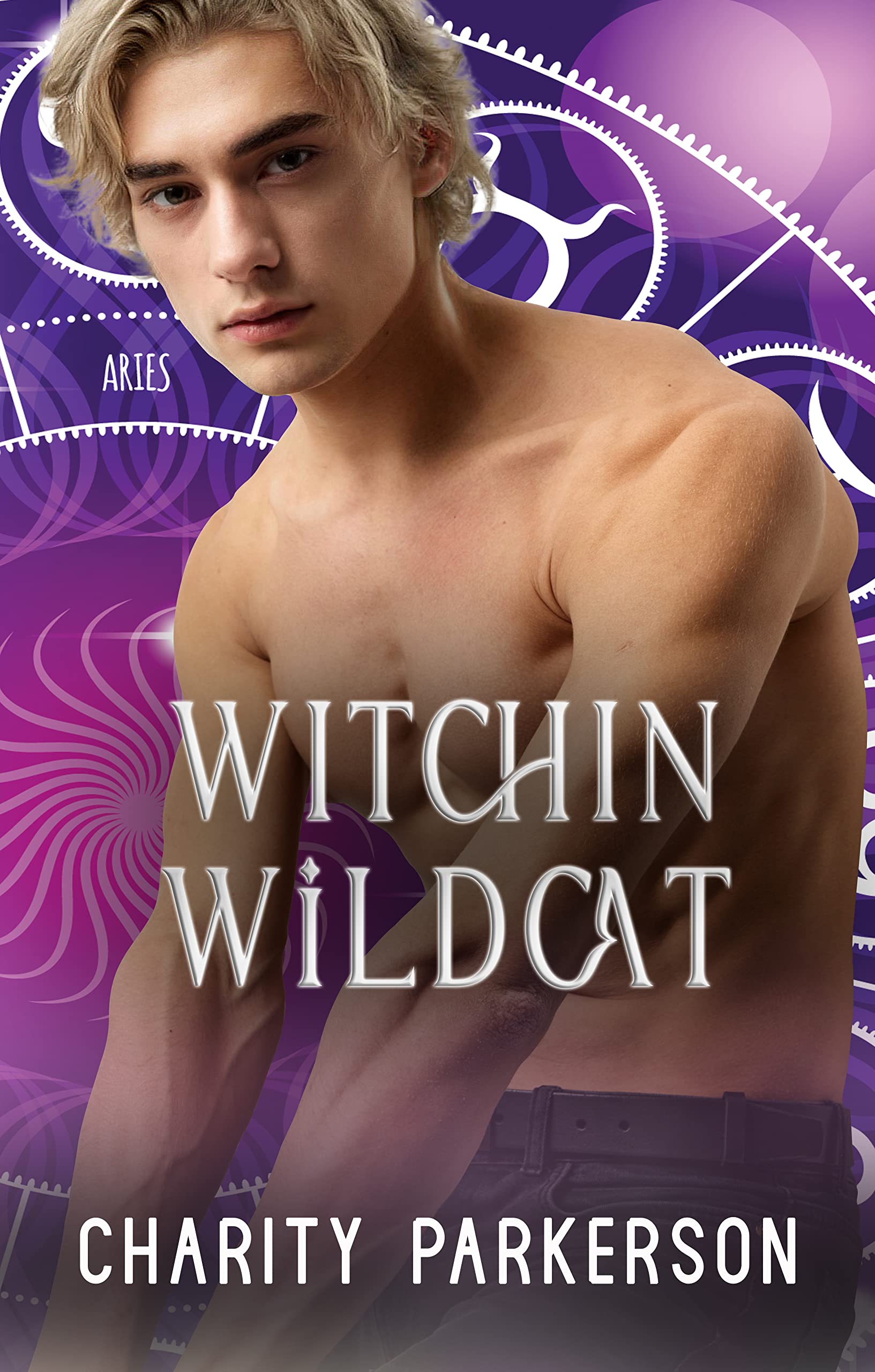 Witchin Wildcat book cover