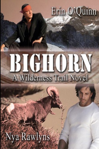 Wildernes Trail book cover 1