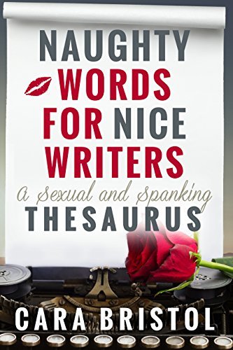 Naughty Words for Nice Writers book cover