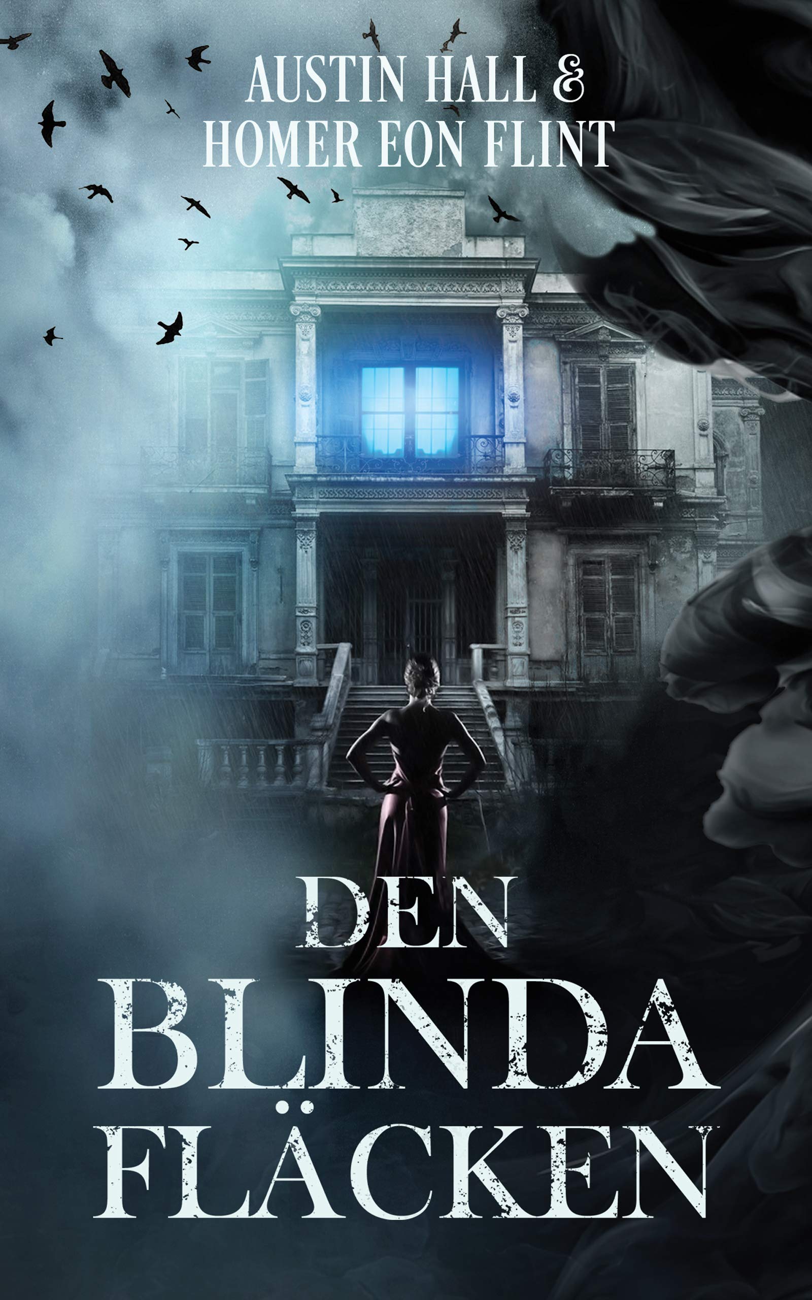 Blind Spot book cover 2