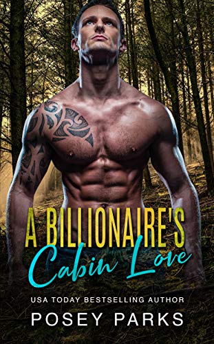 A Billionaire's Cabin Love book cover