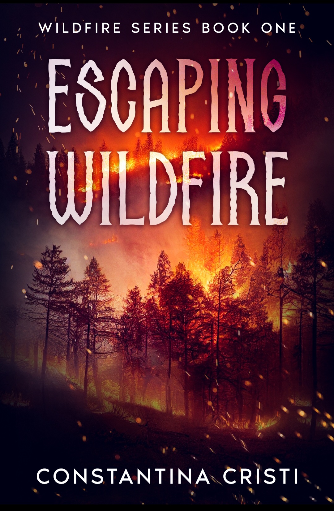 Wildfire book cover 2