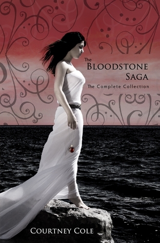 The Bloodstone Saga book cover