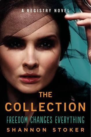 The Registry book cover 2