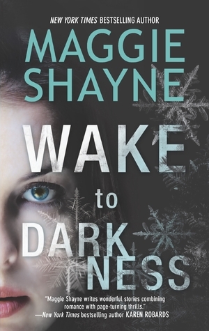 Wake to Darkness book cover