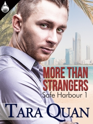 Safe Harbor book cover 1