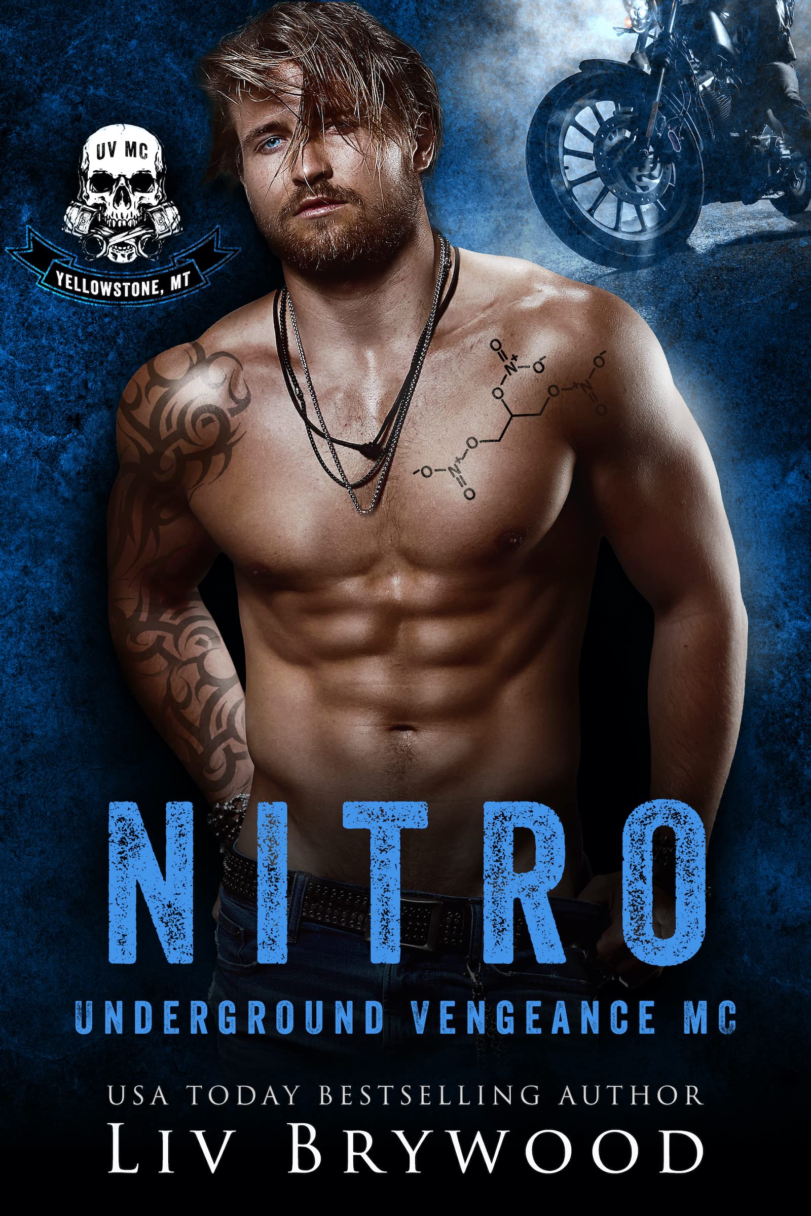 Nitro book cover