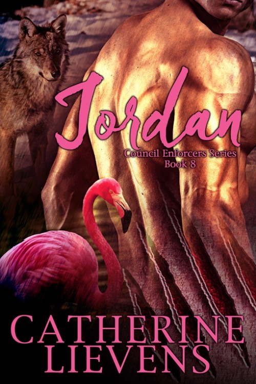 Jordan book cover