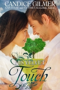 His Velvet Touch book cover