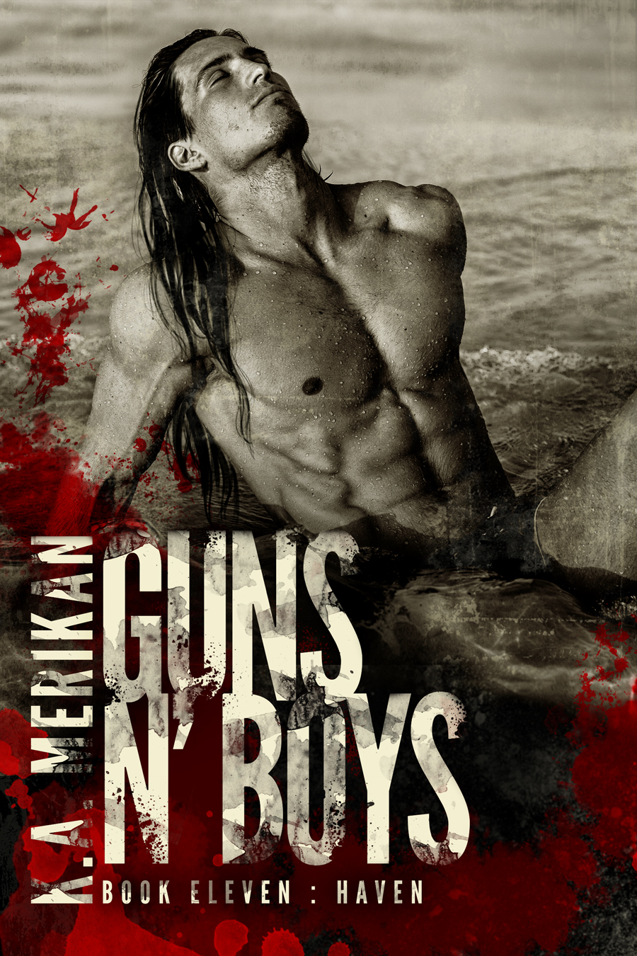 Haven book cover