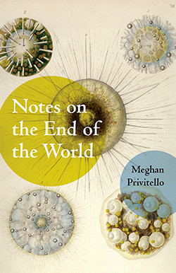 Notes on the End of the World book cover
