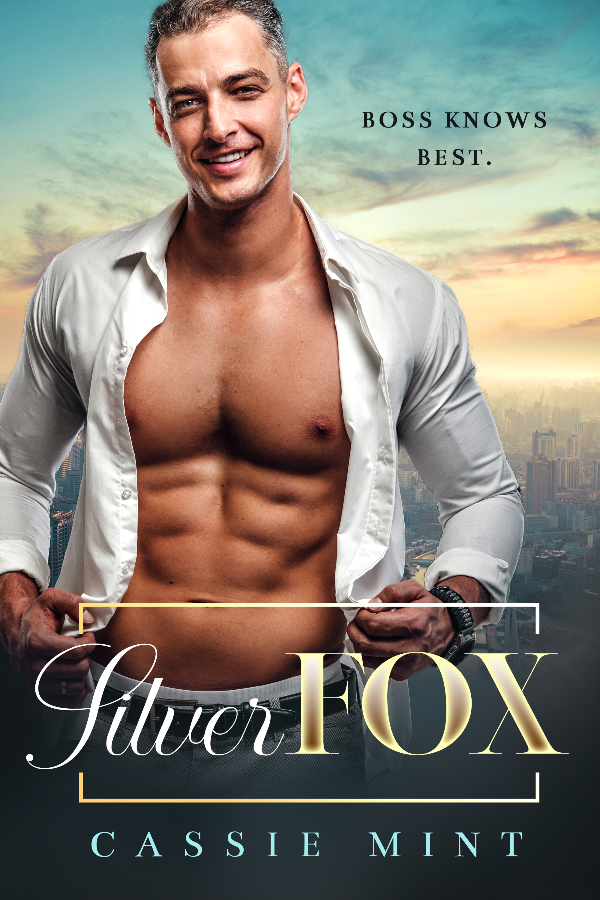 Silver Fox book cover