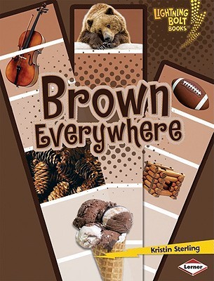 Lightning Bolt Books ® - Colors Everywhere book cover 3