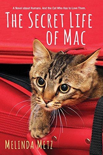 Mac book cover 2