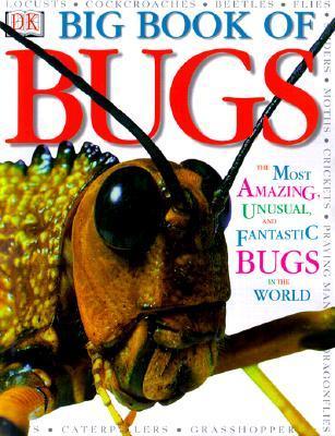 Big Book of Bugs book cover