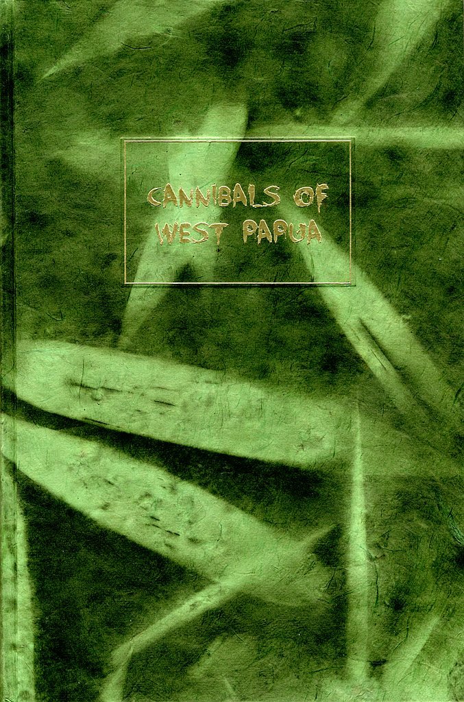 Father Torturo book cover 2