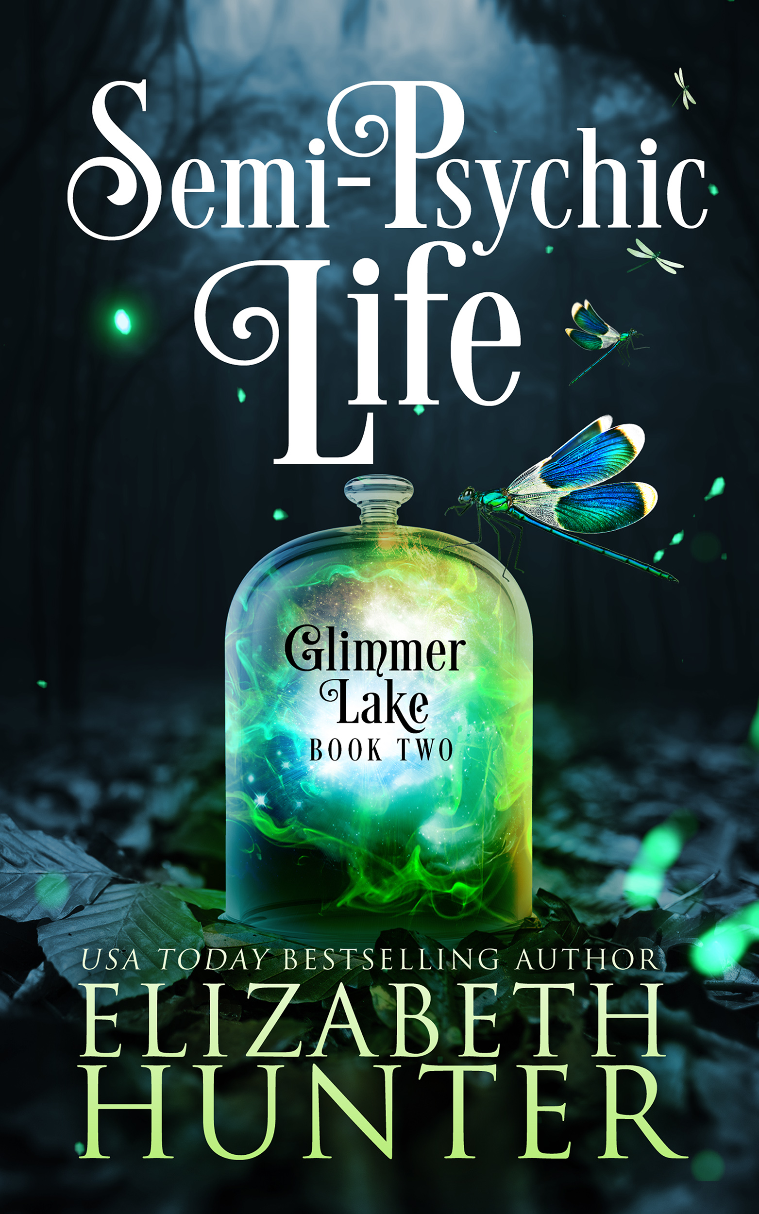 Glimmer Lake book cover 2