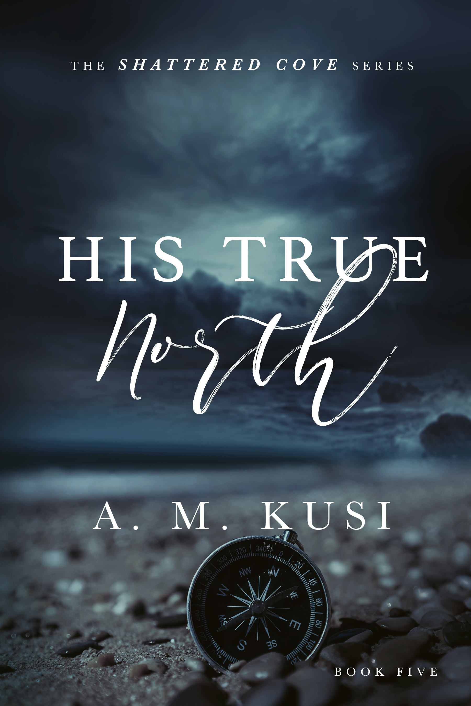 His True North book cover