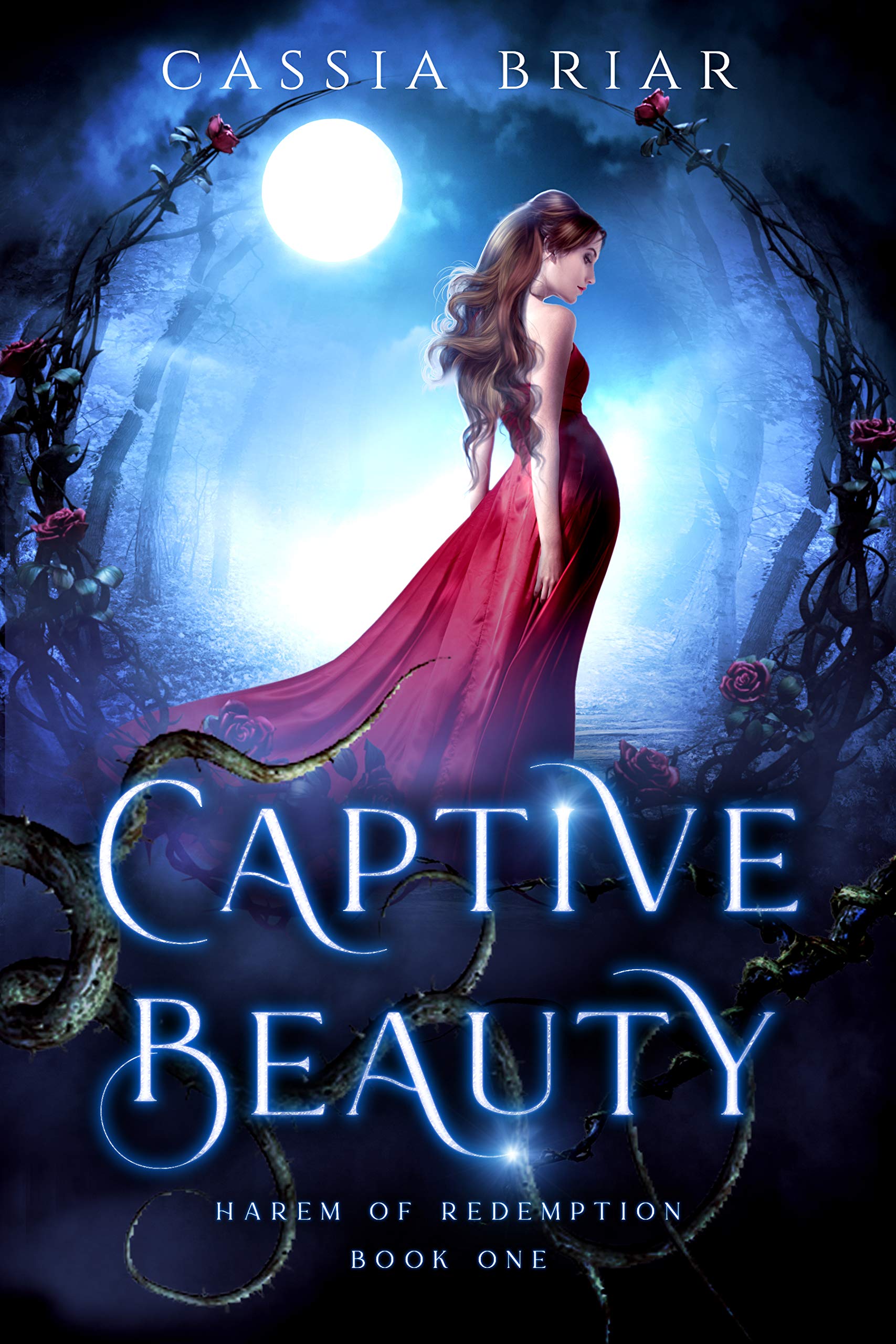 Captive Beauty book cover