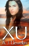 Xu book cover 2