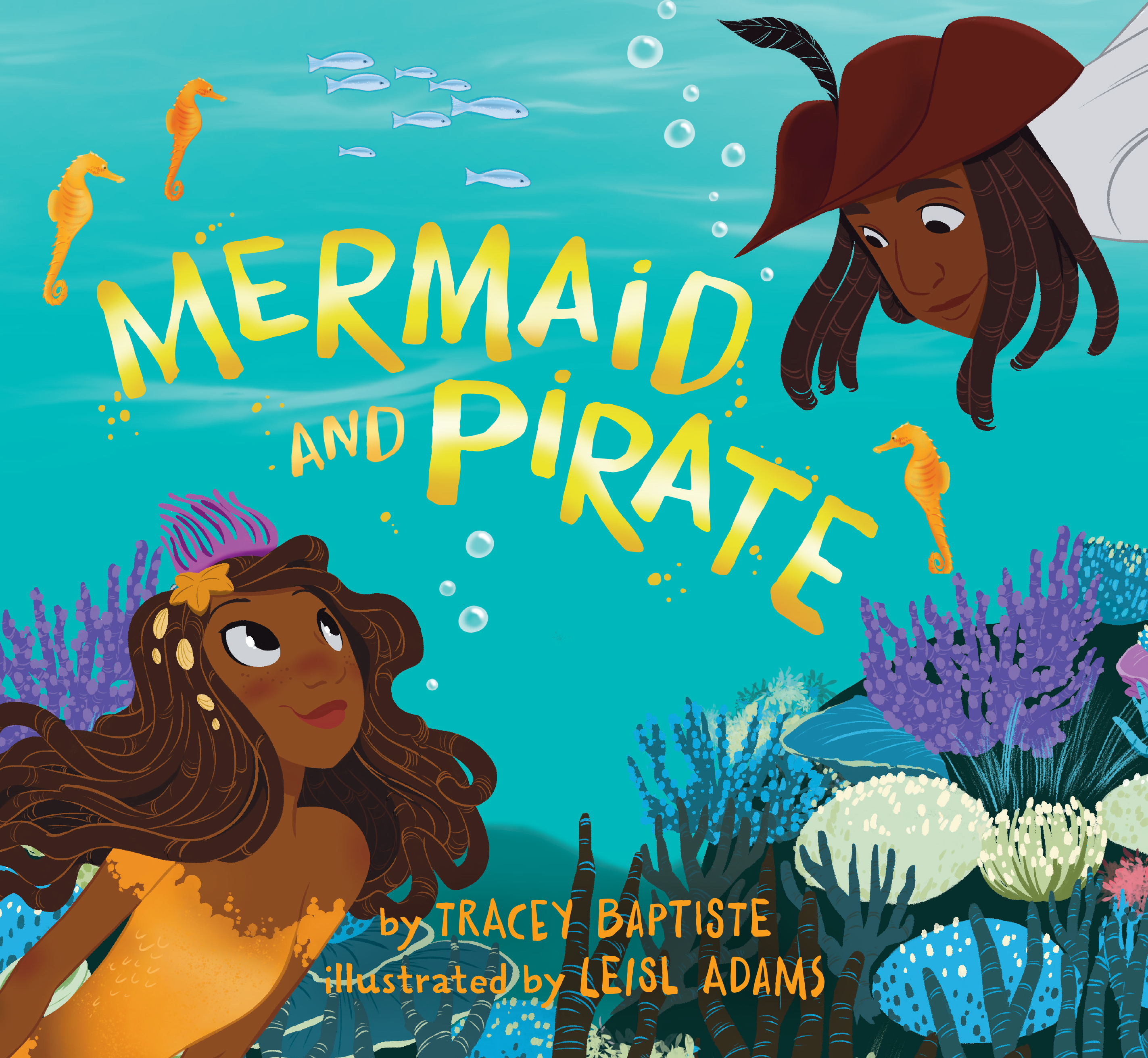 Mermaid and Pirate book cover