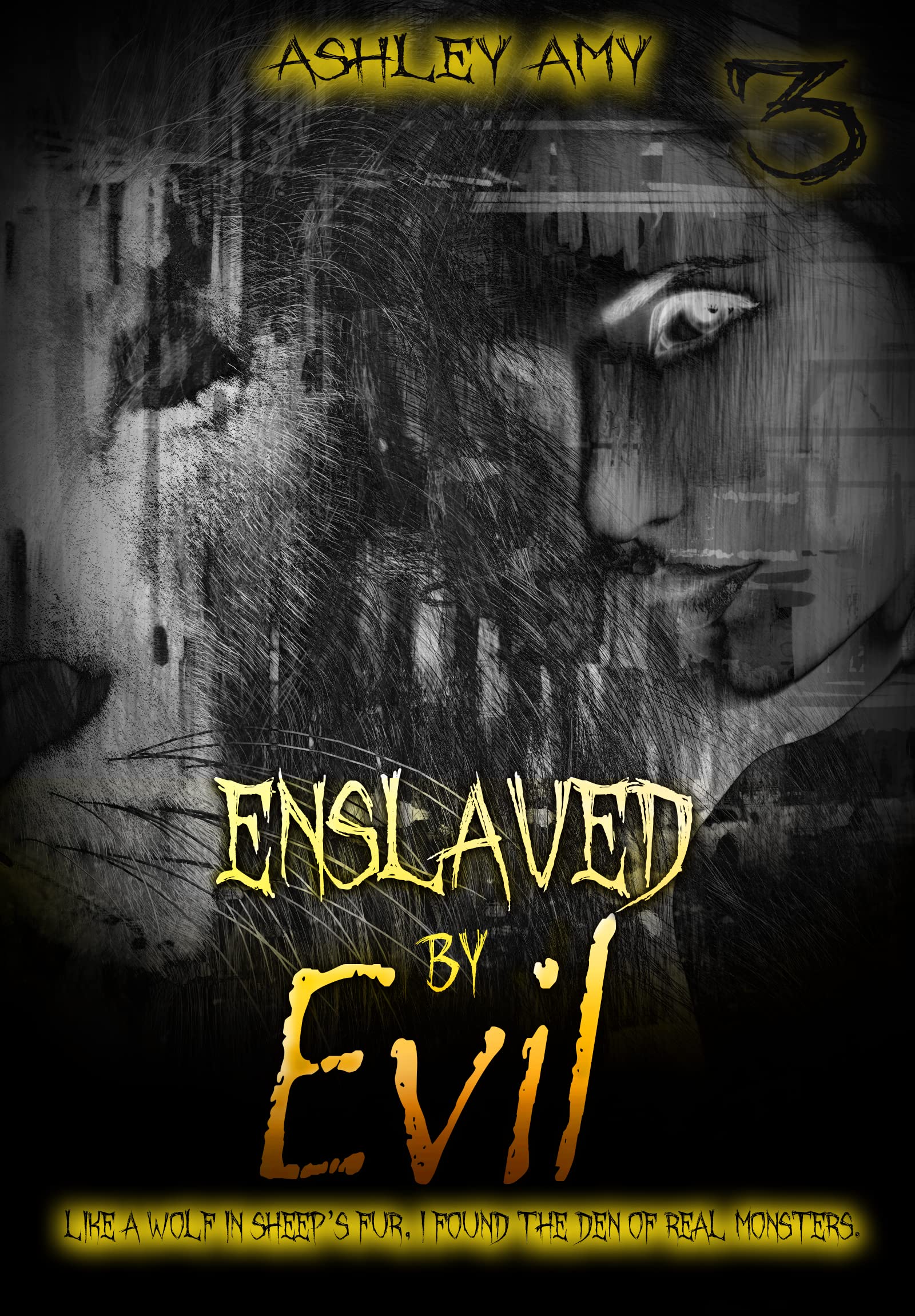 Cursed in Secrets book cover 3