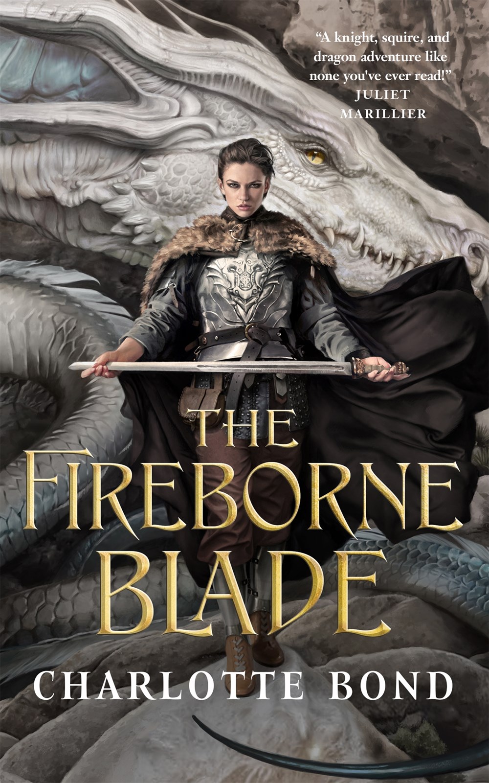 The Fireborne Blade book cover 2