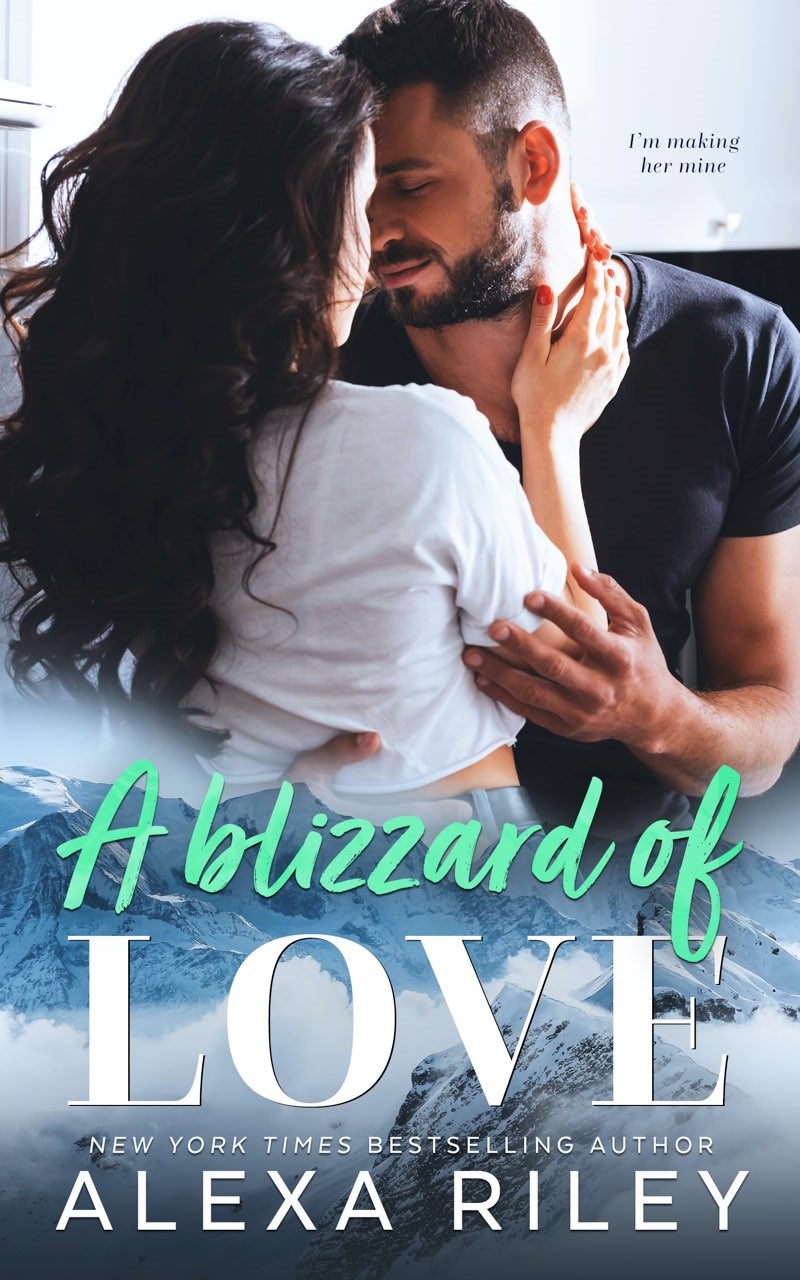 A Blizzard of Love book cover