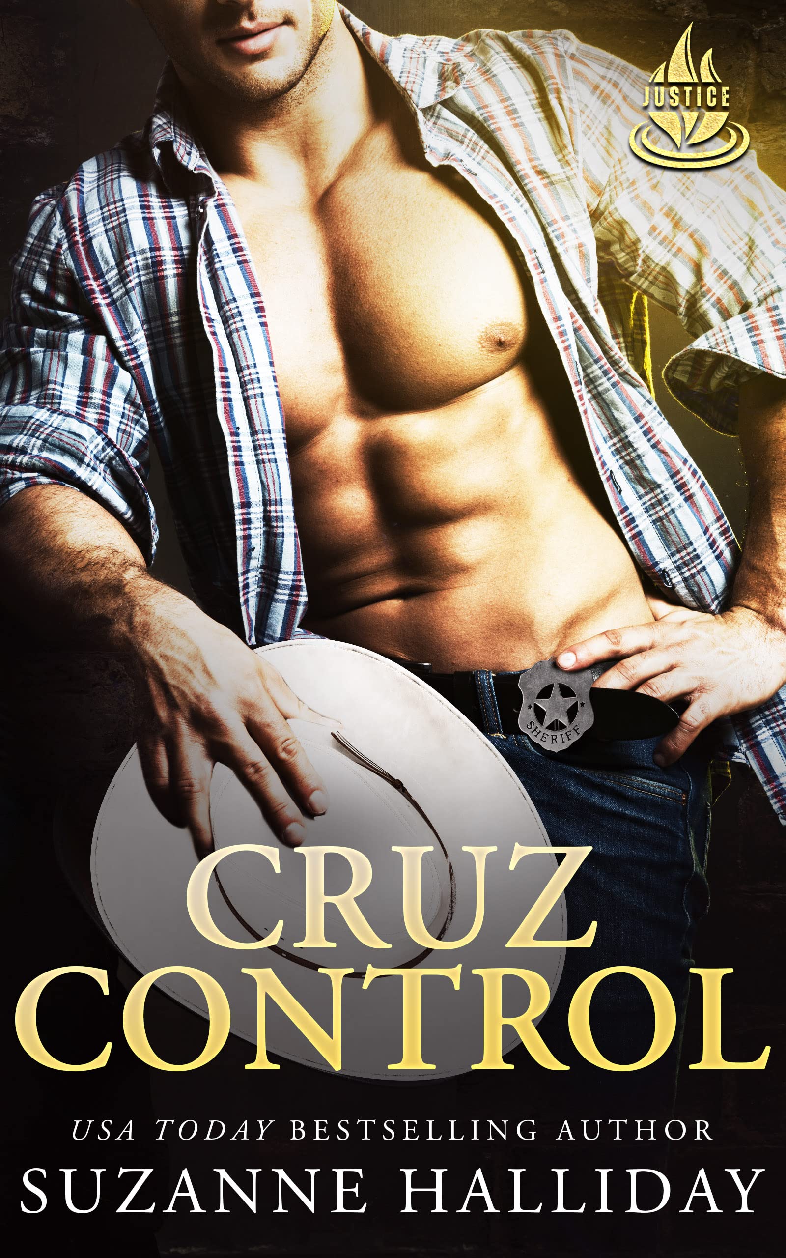 Justice Chronicles book cover 2
