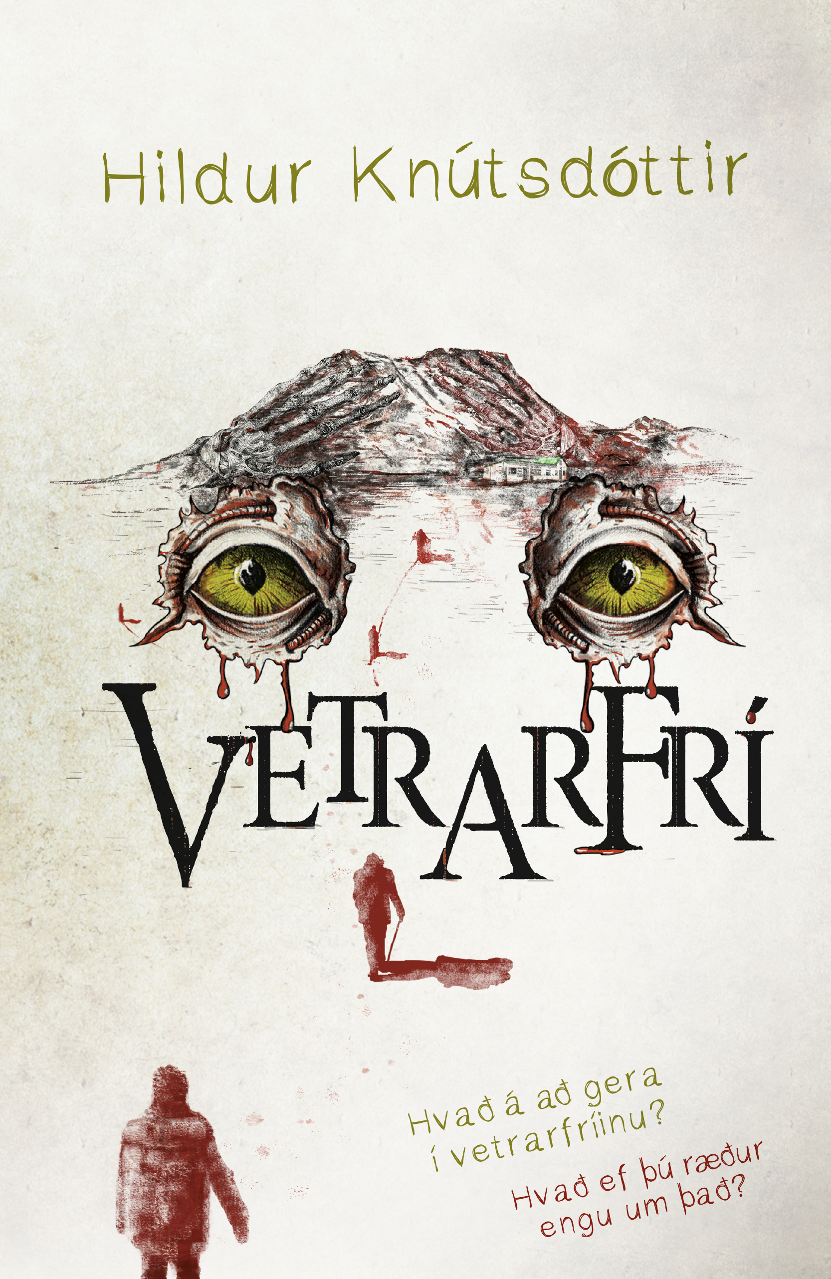 Vetrarfrí book cover 1