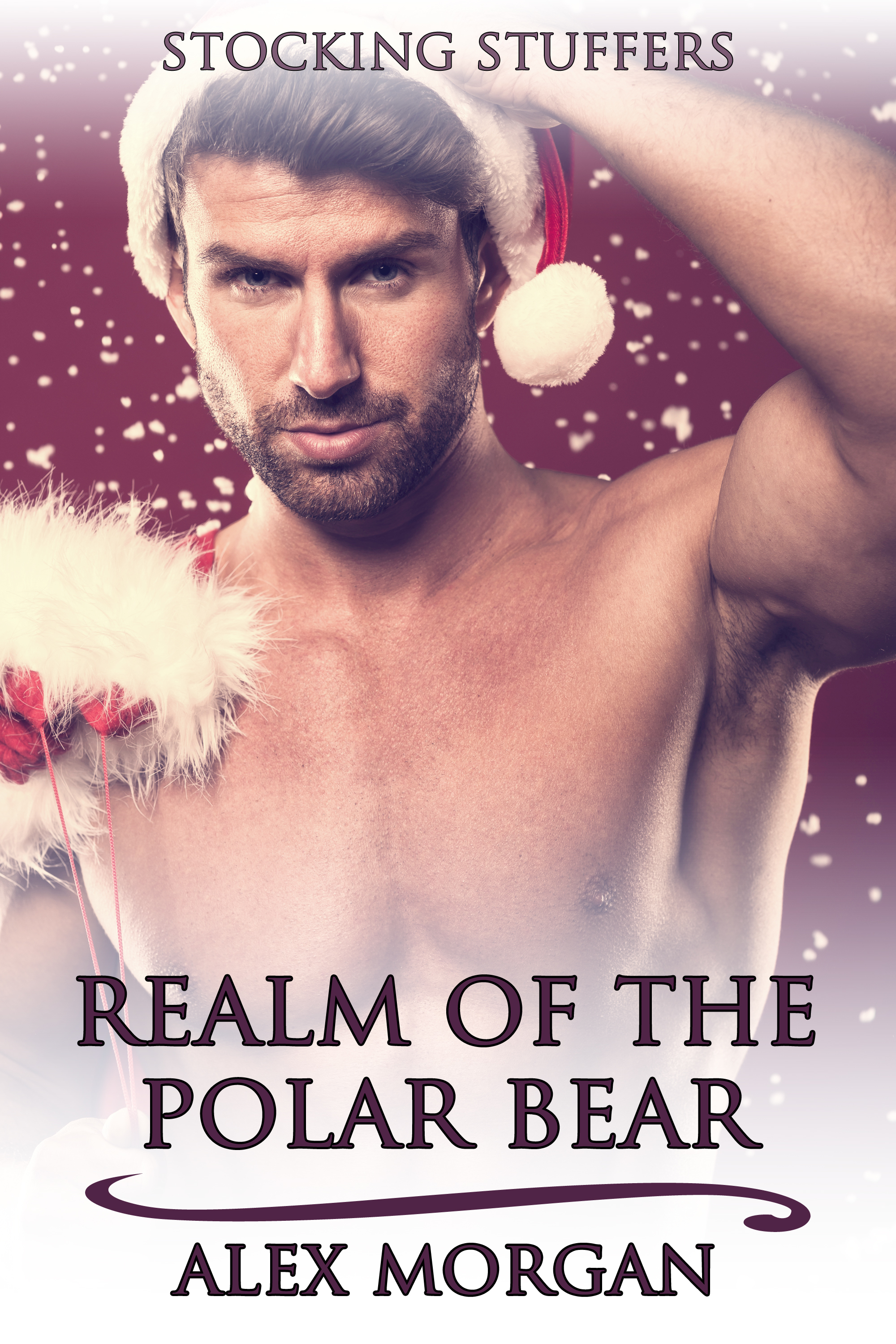 Realm of the Polar Bear book cover