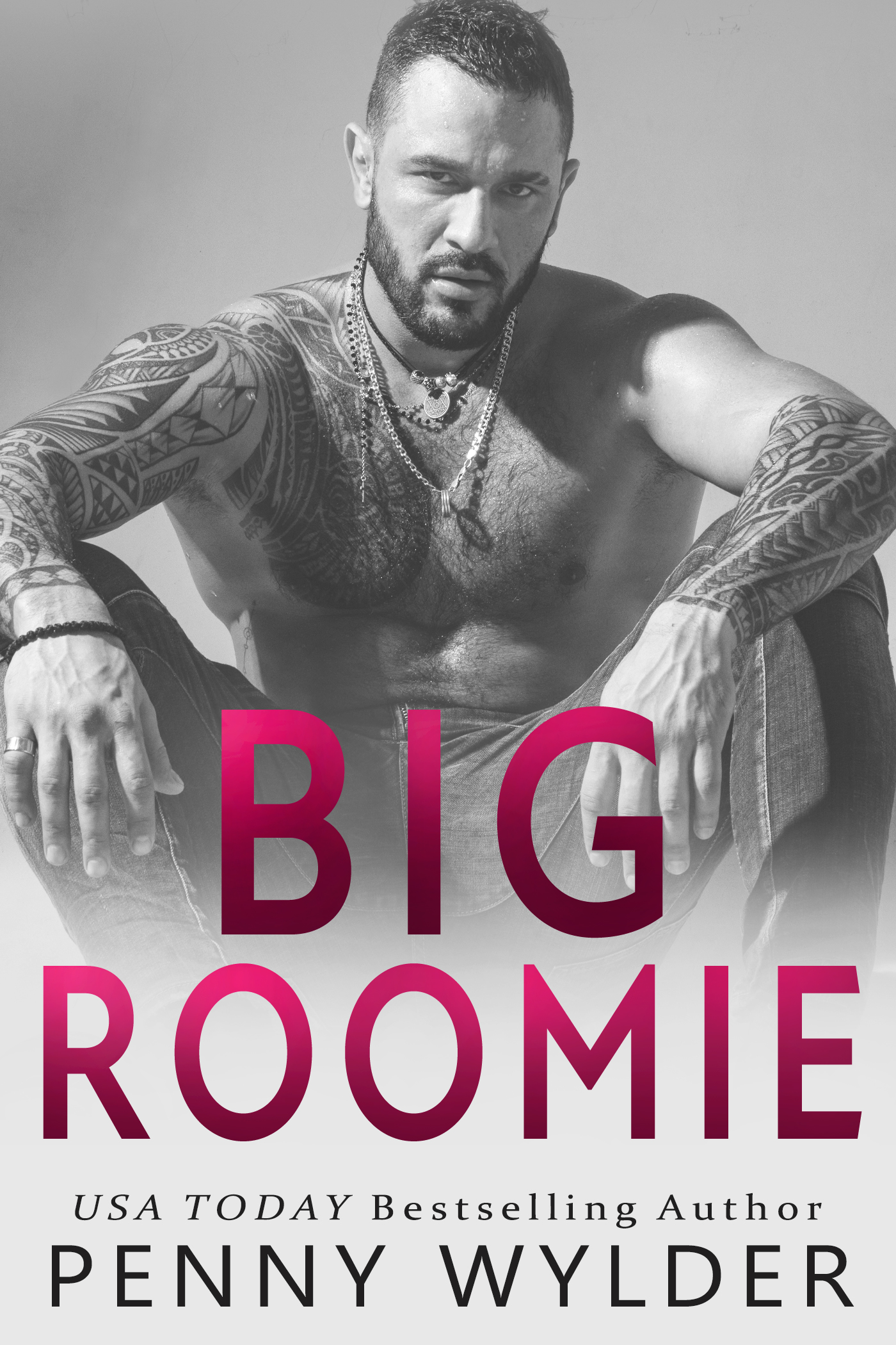 Big Roomie book cover