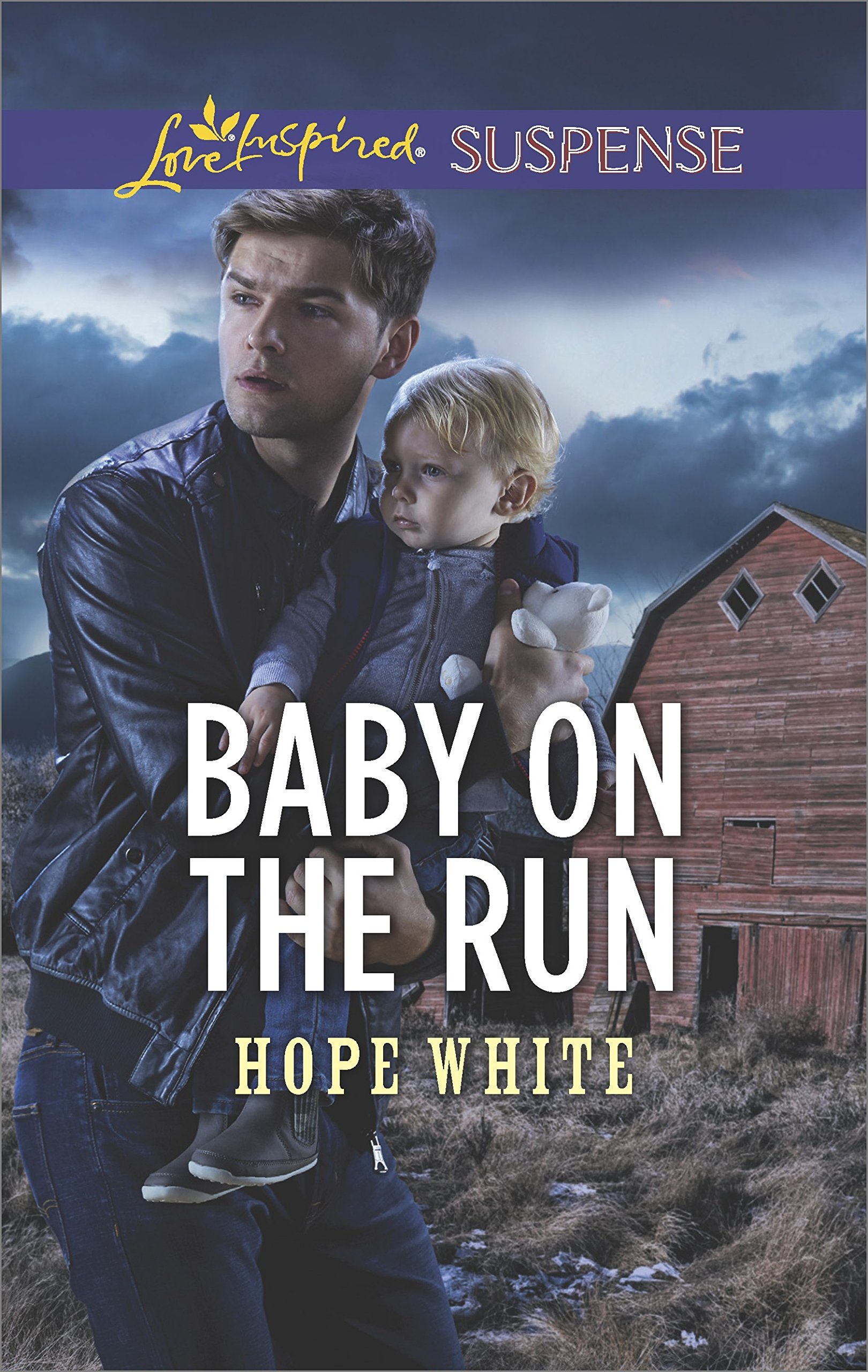 Baby Protectors book cover 2