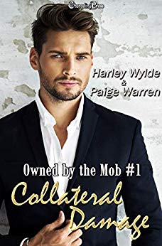 Owned by the Mob book cover 1