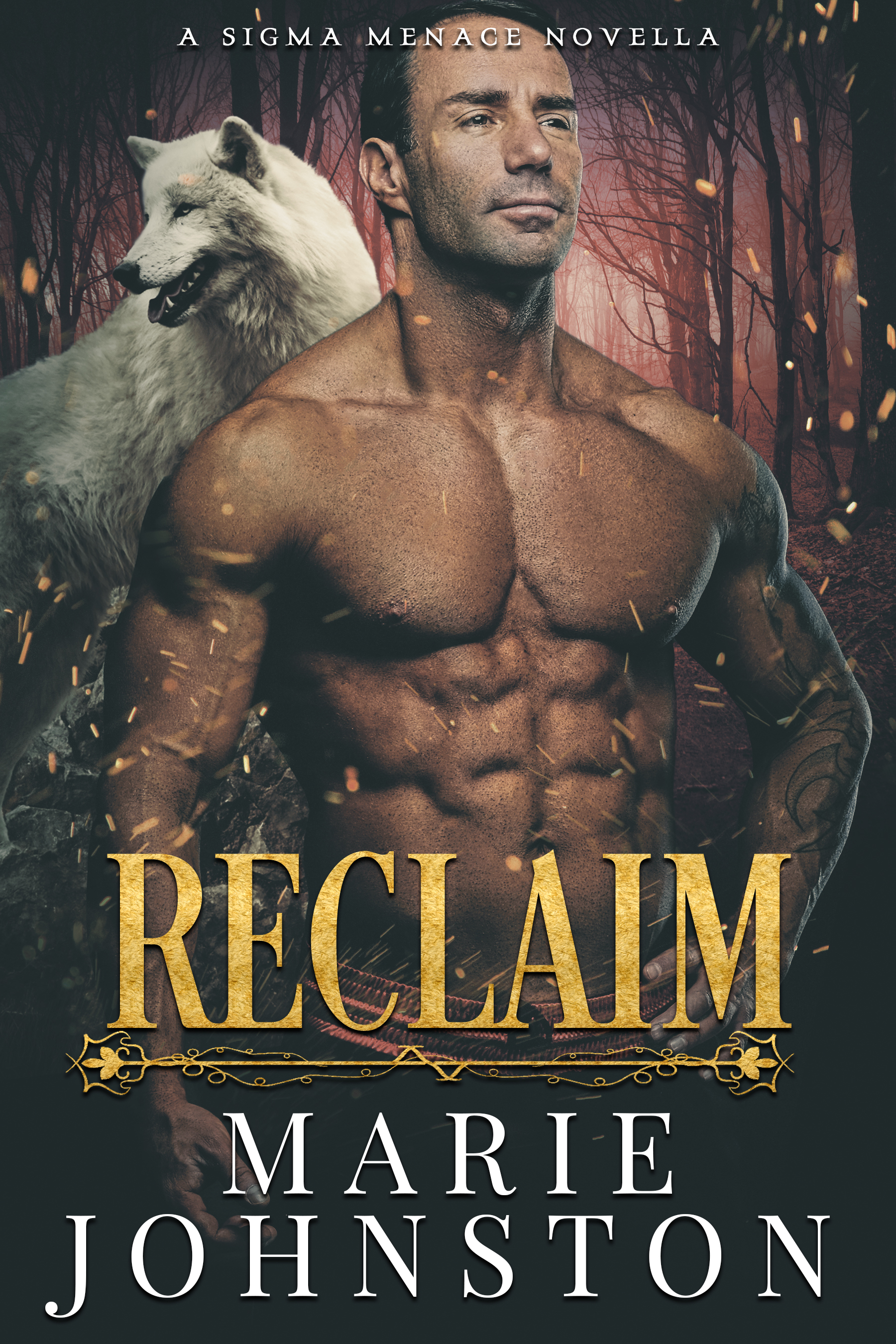 Reclaim book cover